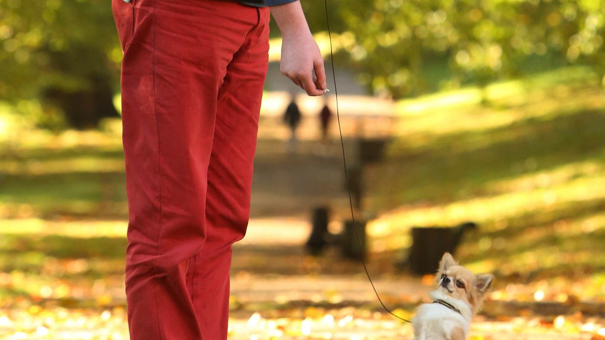 Neil Fingleton: GoT's Tallest Actor (Mag the Mighty) Dead at 36